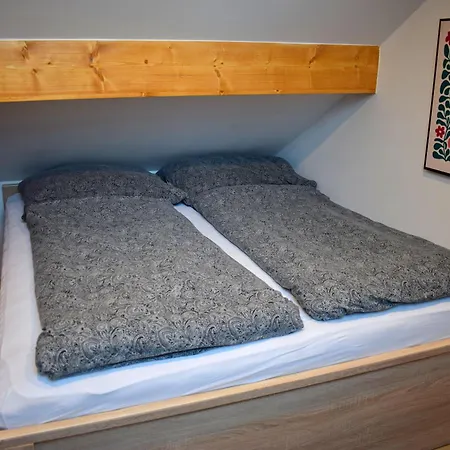 Apartmány Janovice Janovice (Moravia-Silesia)